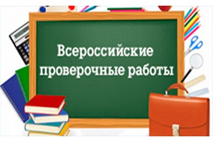 Всероссийские проверочные работы в школах Мордовии писали начальные классы и выпускники