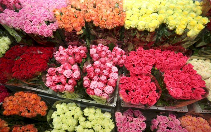 Купить Цветы Оптом Дешево Томск