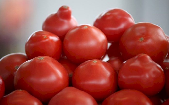 pomidory_p51524
