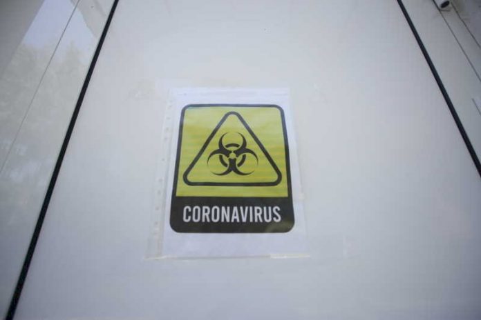 koronavirus_p91641