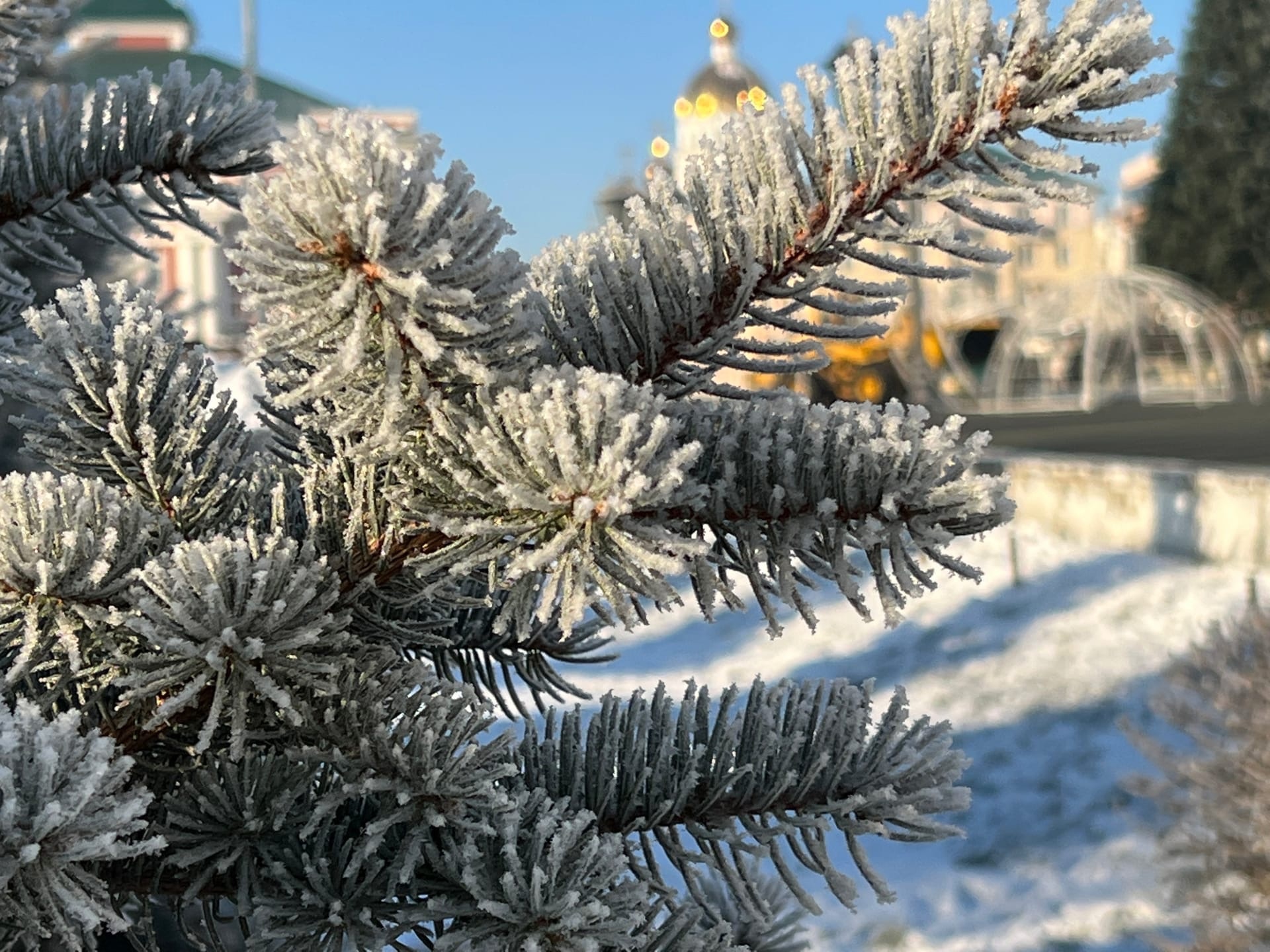 Погода в республике мордовия