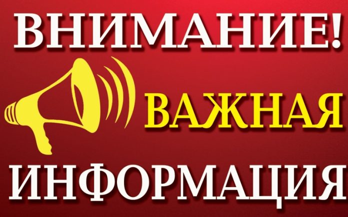 Выплаты за январь 2024