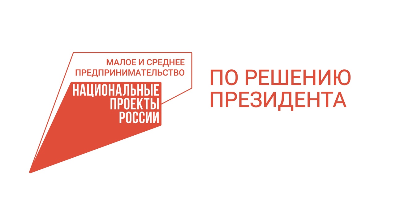 Нацпроект позволяет бизнесу Мордовии получать услуги сервиса «Электронная  отчетность» бесплатно